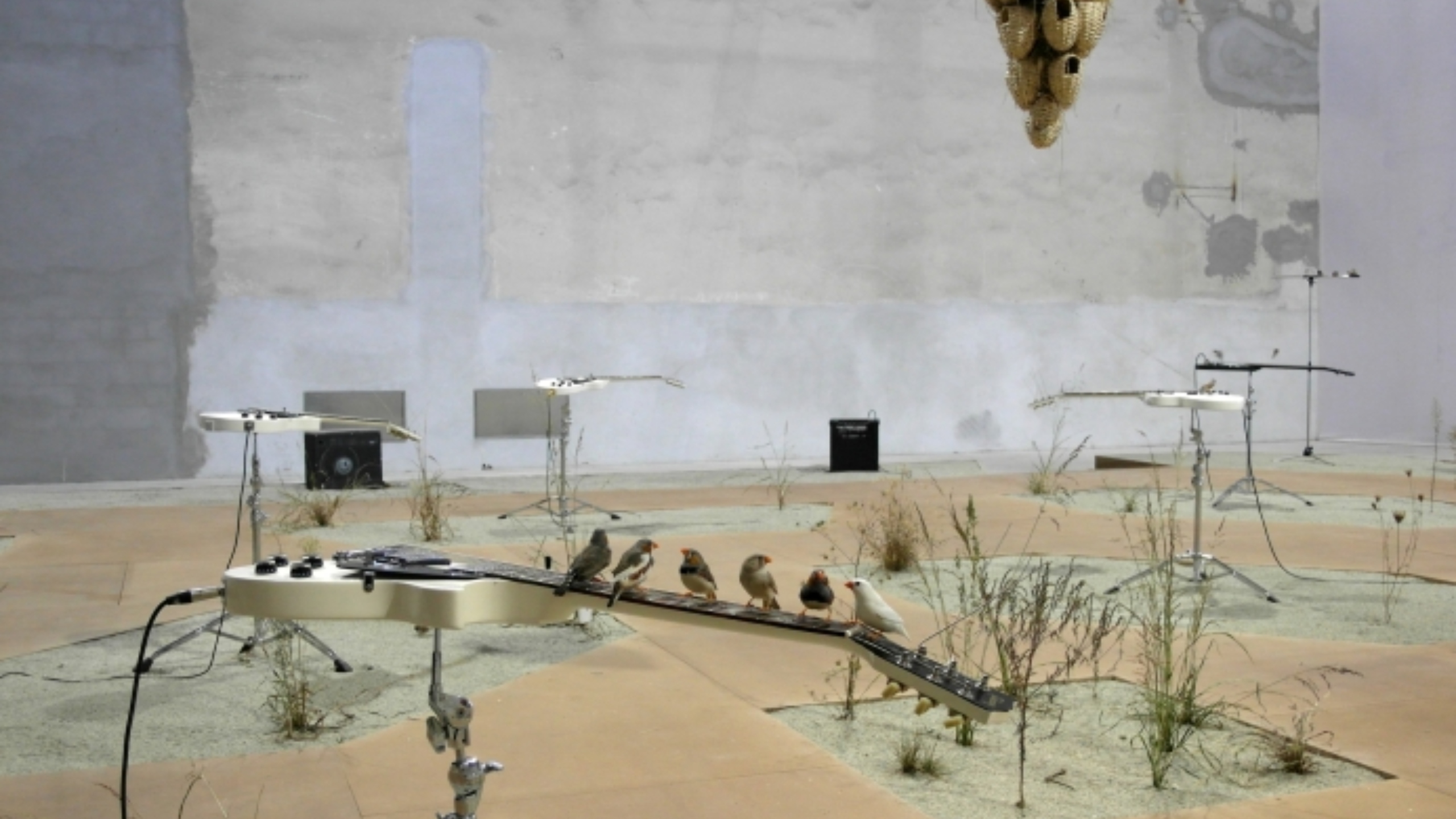 Peça no Teatro Romano. Exposição no MAAT