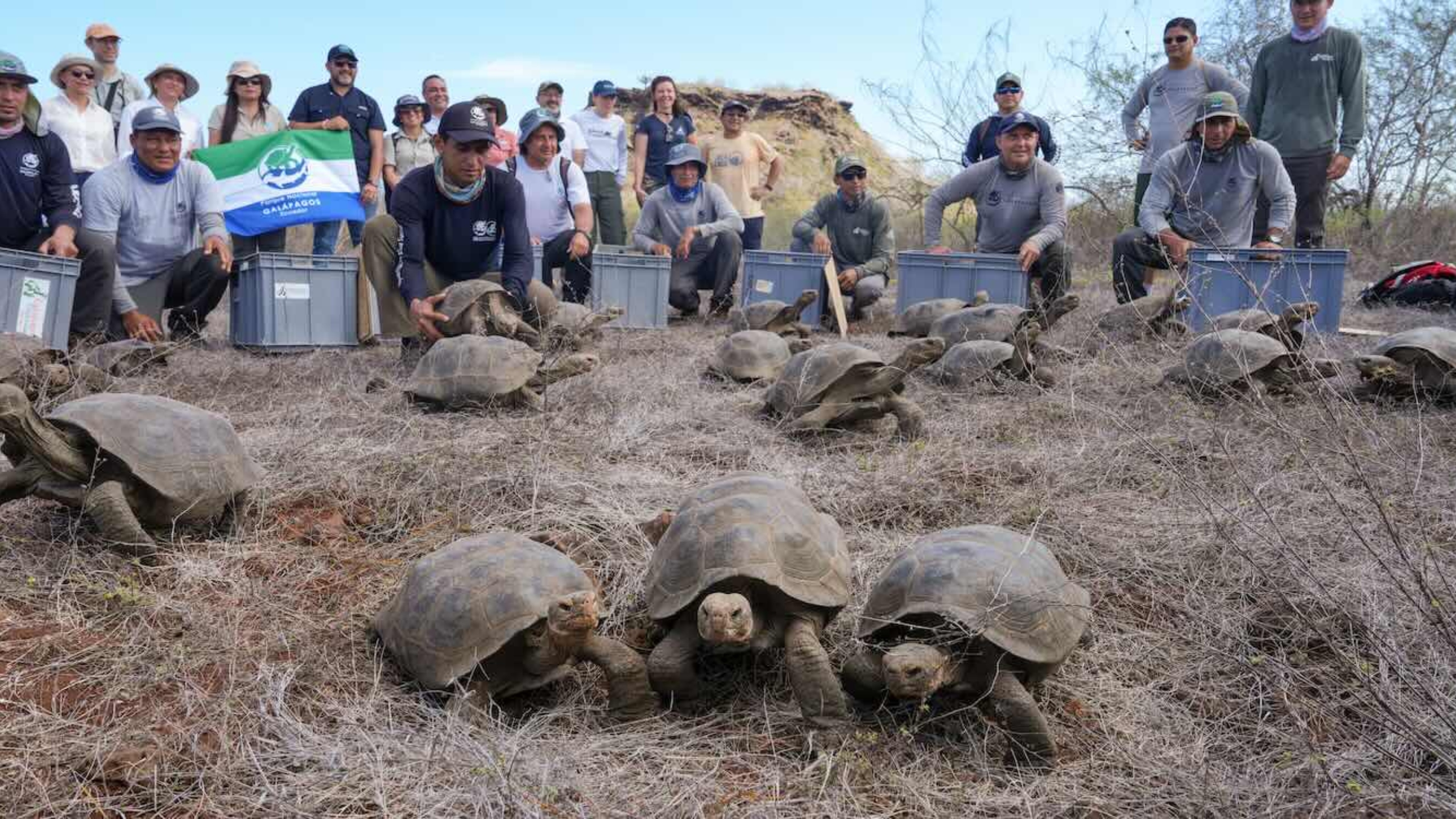 tartarugas galapagos 1